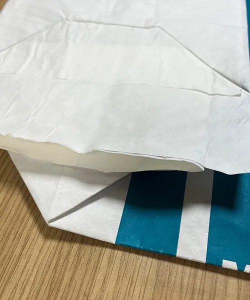 Samples of Valve Bag